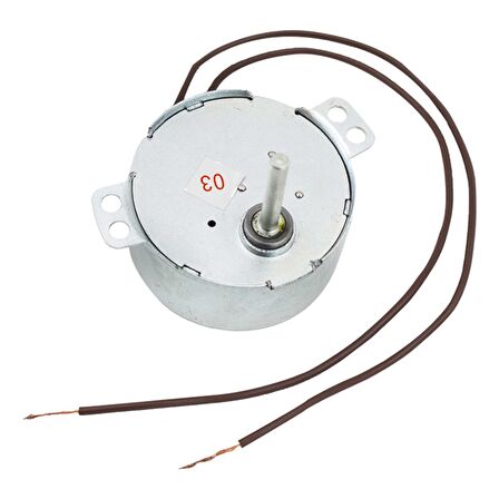 POWERMASTER 220V 15R/MIT DC ŞÖMİNE MOTORU [motor saplaması 3,9 mm]